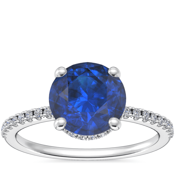 Petite Micropave Hidden Halo Engagement Ring with Round Sapphire in Platinum (8mm)